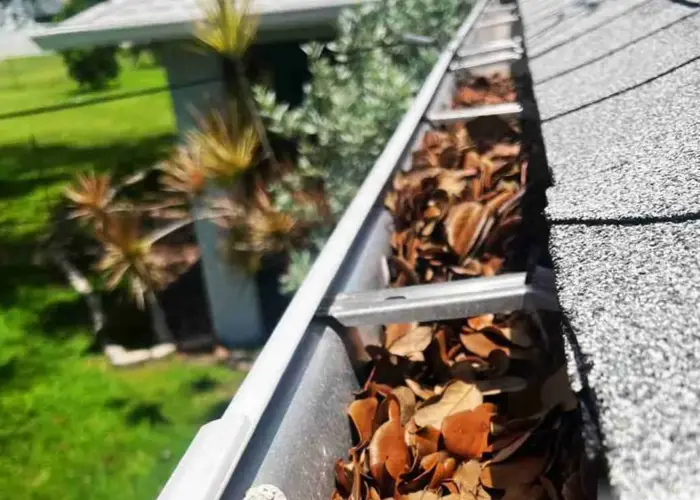 Lansdowne gutter cleaning home page